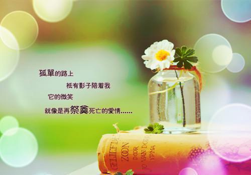 楚清歌谢霁川小说书荒文好文分享（楚清歌谢霁川）全文免费阅读无弹窗大结局_楚清歌谢霁川小说最新章节列表（楚清歌谢霁川）