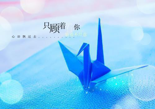 桑悯陆樾在线阅读（桑悯陆樾）全文免费阅读无弹窗大结局_桑悯陆樾免费最新章节列表（桑悯陆樾）