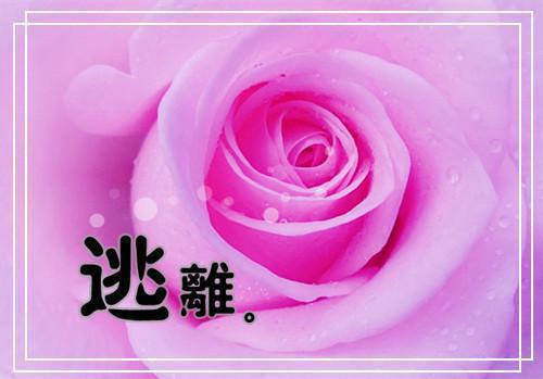 程莹傅辰傅元致全文（金丝樊笼：程莹傅辰傅元致）全文免费阅读无弹窗大结局_程莹傅辰傅元致免费最新章节列表（金丝樊笼：程莹傅辰傅元致）