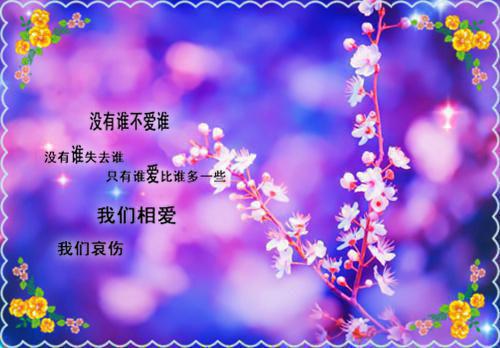 宋齐臻苏穗（宋齐臻苏穗）全文免费阅读无弹窗大结局_(宋齐臻苏穗全集大结局)宋齐臻苏穗最新章节列表（宋齐臻苏穗）