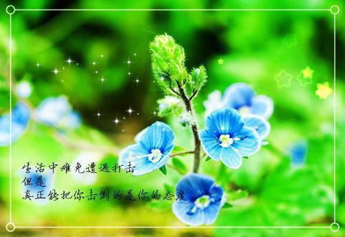 言茜厉廷烨小说（已完结小说全集完整版大结局）小说全文阅读