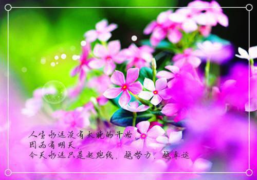 面对未来我流泪了作文800字