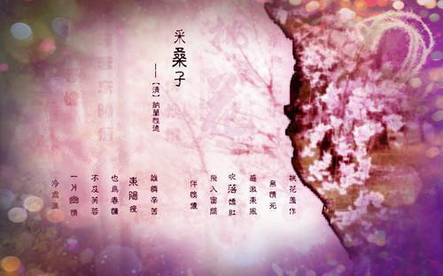 关于初中英语课前演讲稿（中英对照）5篇