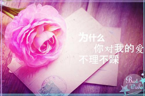 苏棉槿谢其昭（苏棉槿谢其昭）全文免费阅读无弹窗大结局_(苏棉槿谢其昭免费阅读)苏棉槿谢其昭无弹窗最新章节列表（苏棉槿谢其昭）