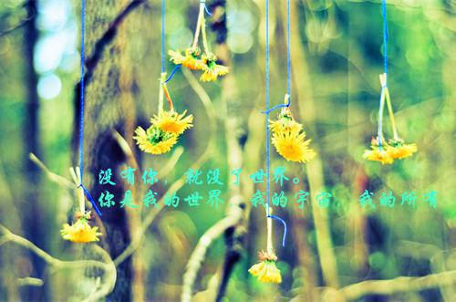 姜意晚祁祤(祁祤姜意晚)全文免费阅读无弹窗大结局_(姜意晚祁祤免费阅读)祁祤姜意晚无弹窗最新章节列表（姜意晚祁祤）