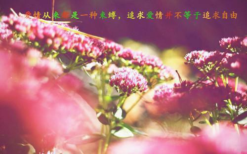 林姝禾秦誉杰(林姝禾秦誉杰)全文免费阅读无弹窗大结局_(林姝禾秦誉杰)林姝禾秦誉杰免费阅读无弹窗最新章节列表(林姝禾秦誉杰)