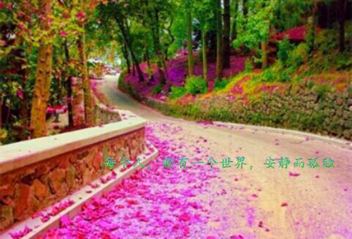 程念唐修尧阅读无弹窗大结局_（唐修尧程念阅读无弹窗）最新章节列表（唐修尧程念）