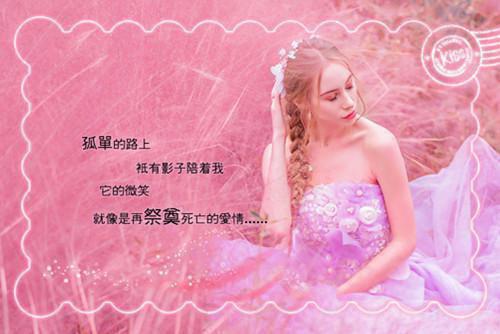 秦锦初柏近小说（柏近秦锦初）全文免费阅读无弹窗大结局_秦锦初柏近小说最新章节列表（柏近秦锦初）