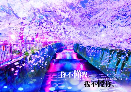 豪门闪婚，捡个甜崽当后妈（施颜谈晏）全文免费阅读无弹窗大结局_豪门闪婚，捡个甜崽当后妈（豪门闪婚，捡个甜崽当后妈）