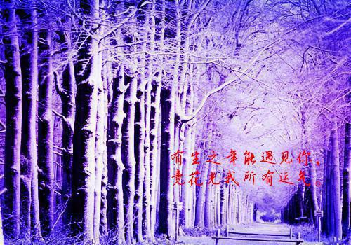 江宜禾陆忱小说txt（陆忱江宜禾）全文免费阅读无弹窗大结局_江宜禾陆忱小说免费阅读最新章节列表（陆忱江宜禾）