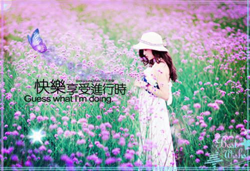 独家小说《闻宴祁沈絮果》沈絮果闻宴祁全文免费阅读无弹窗_闻宴祁沈絮果番外最新小说（沈絮果闻宴祁）