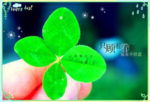 楚幽厉严辞小说全文免费阅读(楚幽厉严辞）全文免费阅读无弹窗大结局_楚幽厉严辞最新章节列表（楚幽厉严辞小说）