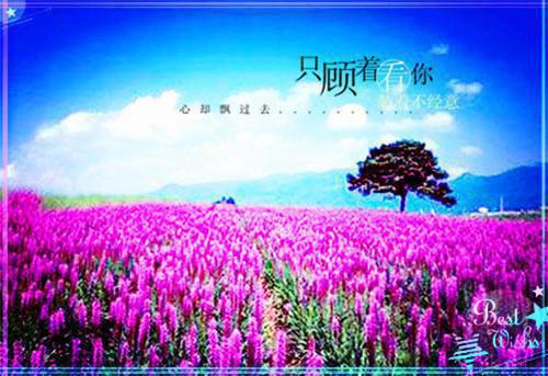 叶纤红杨云哲免费小说 叶纤红杨云哲完结版在线阅读