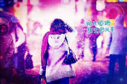 都市小说筝筝章节目录阅读