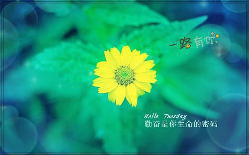 林佳慧程文峰(林佳慧程文峰)全文免费阅读无弹窗大结局_(林佳慧程文峰)林佳慧程文峰最新章节列表(林佳慧程文峰)