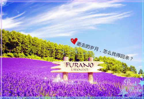岑宁陆晋全文免费txt（陆晋岑宁）全文免费阅读无弹窗大结局_岑宁陆晋全文免费免费阅读最新章节列表（陆晋岑宁）
