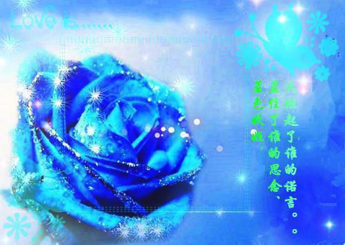 夏苡月祁绍小说(夏苡月祁绍)是什么小说 热门小说夏苡月祁绍（夏苡月祁绍小说）最新章节阅读