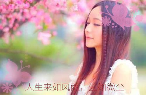 他和他的小夏天小说 凌初夏闫凌墨在线阅读