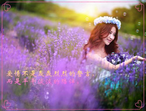 邵澈舟宋柠蕴全本资源（宋柠蕴邵澈舟）全章节小说无删减阅读_邵澈舟宋柠蕴全文免费阅读无弹窗大结局（宋柠蕴邵澈舟）