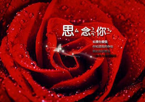 南卿陆肆小说宝藏书荒必读爽文（南卿陆肆）全文免费阅读无弹窗大结局_南卿陆肆小说最新章节列表（南卿陆肆）