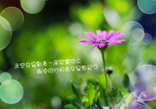 言茜厉廷烨（厉廷烨言茜）在线阅读全文_言茜厉廷烨免费阅读完结版全文