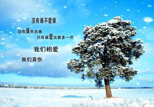 退婚后，她成了王爷心尖宠妃全文（洛九黎萧溟玄）完整版小说阅读_退婚后，她成了王爷心尖宠妃全本列表免费（洛九黎萧溟玄）