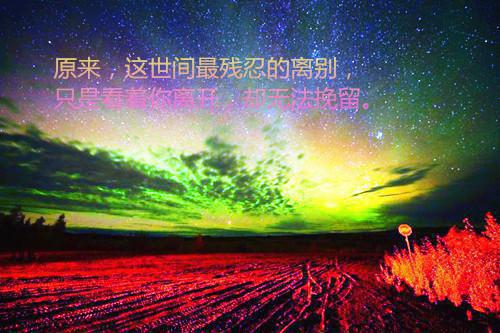 佚名的小说_此生不敢再爱你许南知凌泽小说阅读