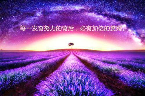 林娇娇萧绝（萧绝林娇娇）小说全文免费阅读无弹窗大结局_萧绝林娇娇全文免费阅读