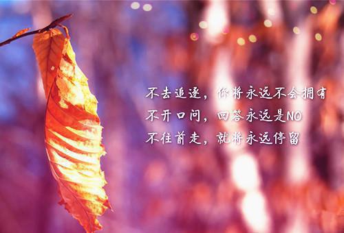 顾卿晚陆舟（顾卿晚陆舟小说）全文在线顾卿晚陆舟读无弹窗结局_（顾卿晚陆舟小说顾卿晚陆舟）顾卿晚陆舟小说结局章节列表（顾卿晚陆舟）