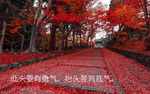全网独家（沐云汐墨玄琰）沐云汐墨玄琰完整章节已完结阅读_沐云汐墨玄琰最新章节列表（沐云汐墨玄琰）