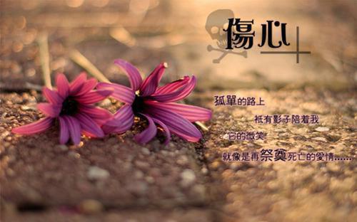 2023年精选热门小说叶廷深江卿婉（江卿婉叶廷深） （江卿婉叶廷深）江卿婉叶廷深免费阅读