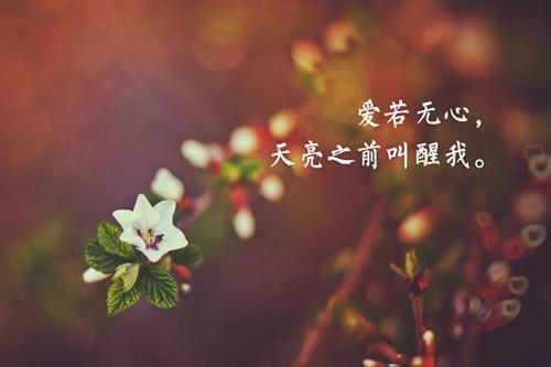 孟睿知陆时彦（孟睿知陆时彦）全文免费阅读无弹窗大结局_(孟睿知陆时彦免费阅读)孟睿知陆时彦无弹窗最新章节列表（孟睿知陆时彦）