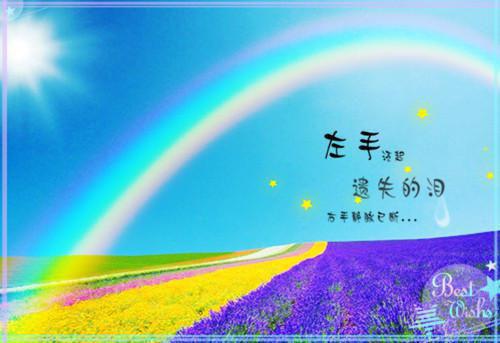 超火热门（情深不被识，以砒霜报之）苏意婉顾堰小说后续最新完整大结局_情深不被识，以砒霜报之全文无弹窗免费阅读（苏意婉顾堰）