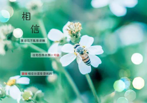 独家小说《陆无尘钟清涵》我有十三剑，剑剑斩乾坤全文免费阅读无弹窗_我有十三剑，剑剑斩乾坤最新小说（陆无尘钟清涵）