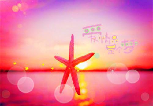 阮烟陆司译全文（陆司译阮烟）完整全文在线阅读_阮烟陆司译全文免费阅读全章节目录（陆司译阮烟）