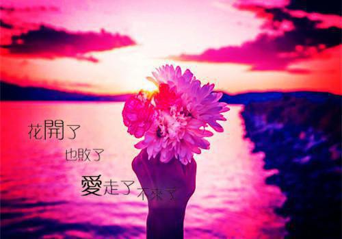 港片，让你卧底，没让你当老大！全吃辣条蘸辣椒全文小说免费阅读