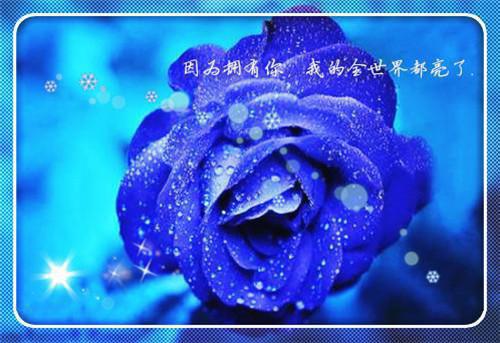 郁仪苏玦褚芝芝小说最后结局 郁仪苏玦褚芝芝完结版免费阅读