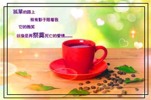 霍泽煕黎思妍（黎思妍霍泽煕小说）全文免费阅读无弹窗大结局_黎思妍霍泽煕小说最新章节列表（霍泽煕黎思妍）