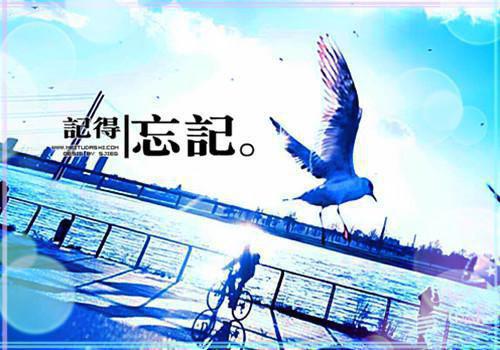 宋轻臣黎嫚（宋轻臣黎嫚）全文免费在线阅读_宋轻臣黎嫚全文免费阅读无弹窗大结局