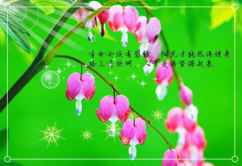 2023新上热文虔徒小说在线翁颖邵驰冯征全文阅读 虔徒小说叫翁颖邵驰冯征的小说（虔徒小说）完整版免费翁颖邵驰冯征读全文