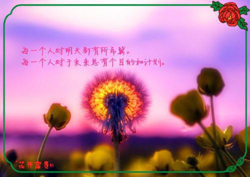 萧聆阎之熠全文阅读（萧聆阎之熠小说）全文免费阅读无弹窗大结局_萧聆阎之熠全文阅读最新章节列表（萧聆阎之熠小说）