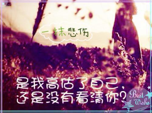 楚驭舟陆汶希（陆汶希楚驭舟）免费小说-陆汶希楚驭舟（楚驭舟陆汶希）最新章节完整版阅读