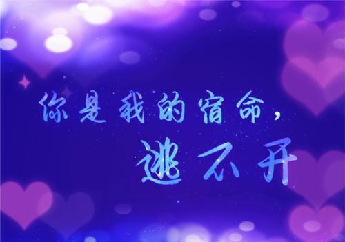 许艺宋晏明全文阅读（穿书后，我抱紧破产大佬大腿）全文免费阅读无弹窗大结局_许艺宋晏明全文阅读最新章节列表（穿书后，我抱紧破产大佬大腿）