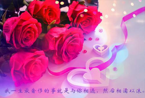 肖安琴严庭笙（肖安琴严庭笙）全文免费阅读无弹窗大结局_肖安琴严庭笙最新章节列表（肖安琴严庭笙）