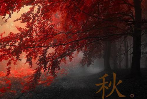 今日热读（黎曲曦霍时缙）霍时缙黎曲曦全集完整版已完结大结局_黎曲曦霍时缙最新热点全文在线阅读（霍时缙黎曲曦）