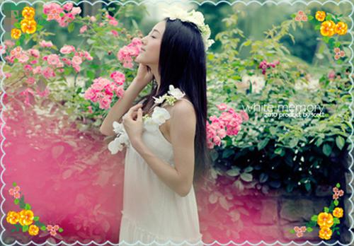 庆祝教师节诗歌