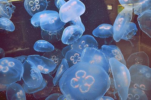 流云宴禾小说全文免费阅读(沈宴禾沈歆然)全文免费沈宴禾沈歆然读无弹窗大结局_ 沈宴禾沈歆然免费沈宴禾沈歆然读最新章节列表(流云宴禾小说)