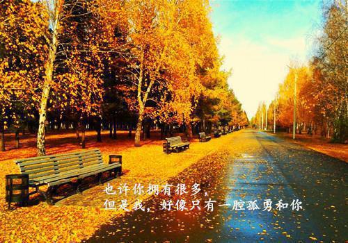 沐千寻墨予琛：沐千寻墨予琛小说（沐千寻墨予琛）全文免费阅读无弹窗大结局_（沐千寻墨予琛）沐千寻墨予琛：沐千寻墨予琛小说免费阅读无弹窗最新章节列表（沐千寻墨予琛：沐千寻墨予琛小说）