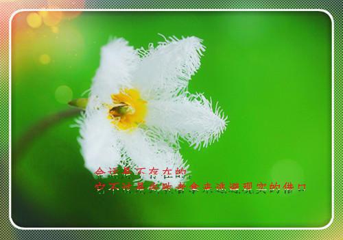 老师要给力白凌凌杨岚航全文阅读 作者叶落无心