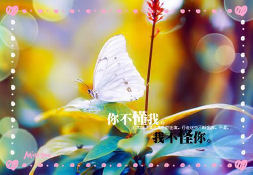 (番外)+(全文)重生之首长夫人离婚指南小说免费下载阅读_(戚泽兰江绍霆)重生之首长夫人离婚指南最新章节列表（戚泽兰江绍霆）